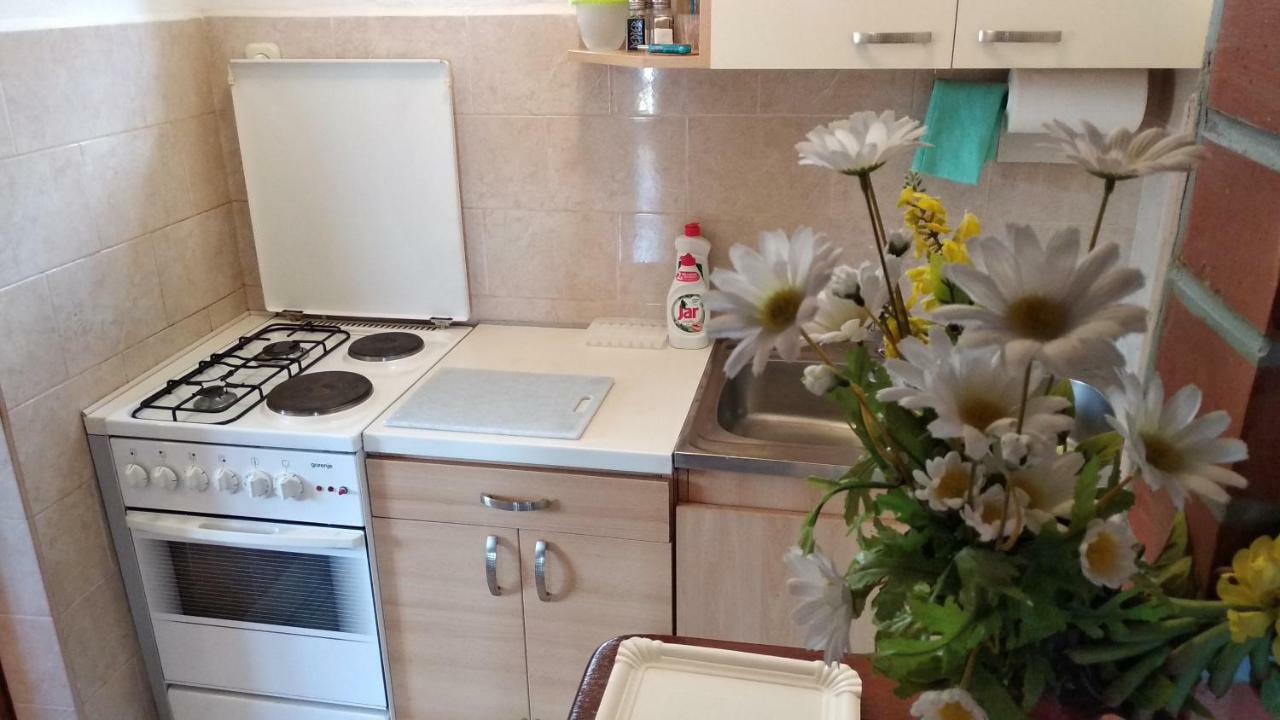 Apartment Ivo Veliko Brdo Makarská Exteriér fotografie